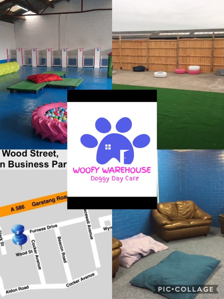 1254 0b5f3764b82613534e70606d99e030e9 1 768x1025