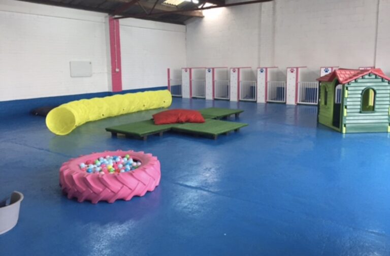 1254 5cd4dd2888e559582051c1142ab67f32 1 768x504