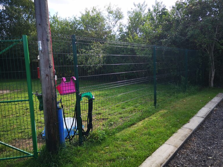 1258 2bdae99eb9c48a922eb6336694aca2a7 1 768x576