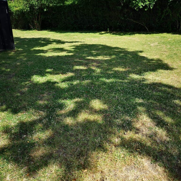 1258 7e6ad569d0fadce0c7188cb98bf10caf 1 768x769