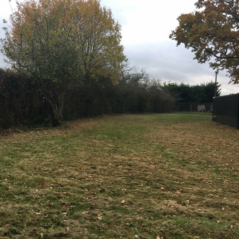 1258 b72ead7c93b5e42f399e6240a2c24f32 1 768x768