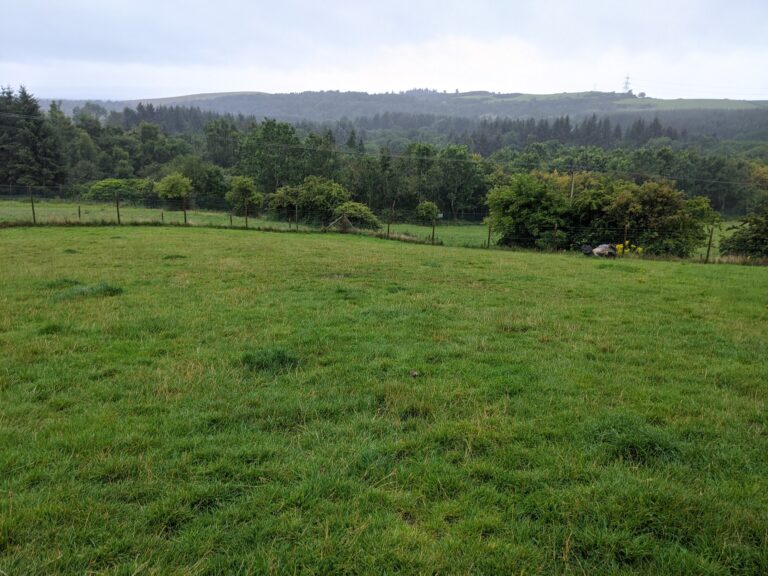 1260 25e3b0bb6b97bcffe051aec4c18d3bcb 1 768x576