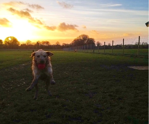 1263 254210a64f6d0c6406d598eac81d5f85 1