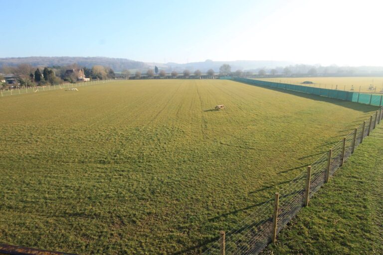 1263 32cc18f5fd5b0432eea5ed42bcef89de 1 768x512