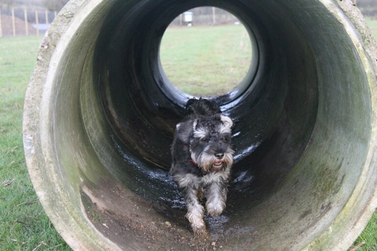 1263 4a8d9d34c408e8aabc96791501b6d57d 1 768x512