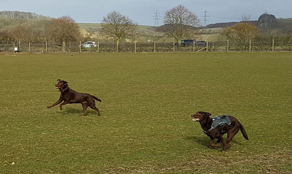 1263 8b5eb1585592bc3eb1c4ca010daec01c 1