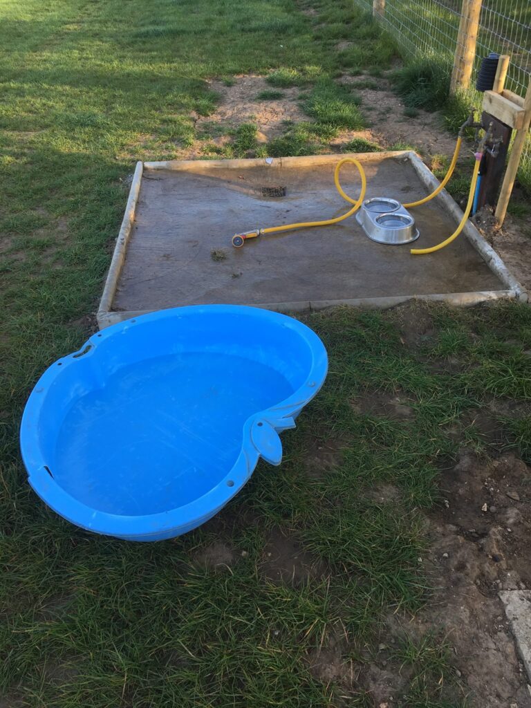 1263 e0f76f6333ce86504fae789c20f0fadf 1 768x1024