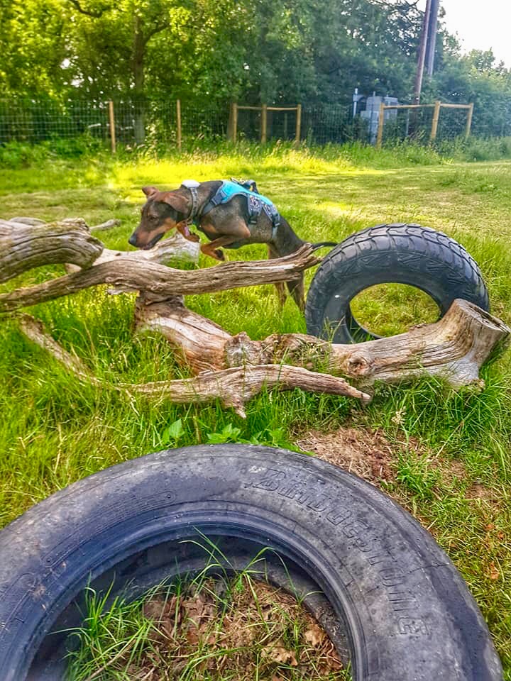 1264 1eb7223dbe966907637f40f5189cc062 1