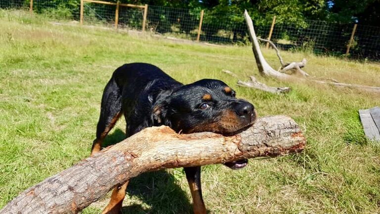 1264 2a399b1fb42e2f3a5f9fee9c2cb8e9e1 1 768x432