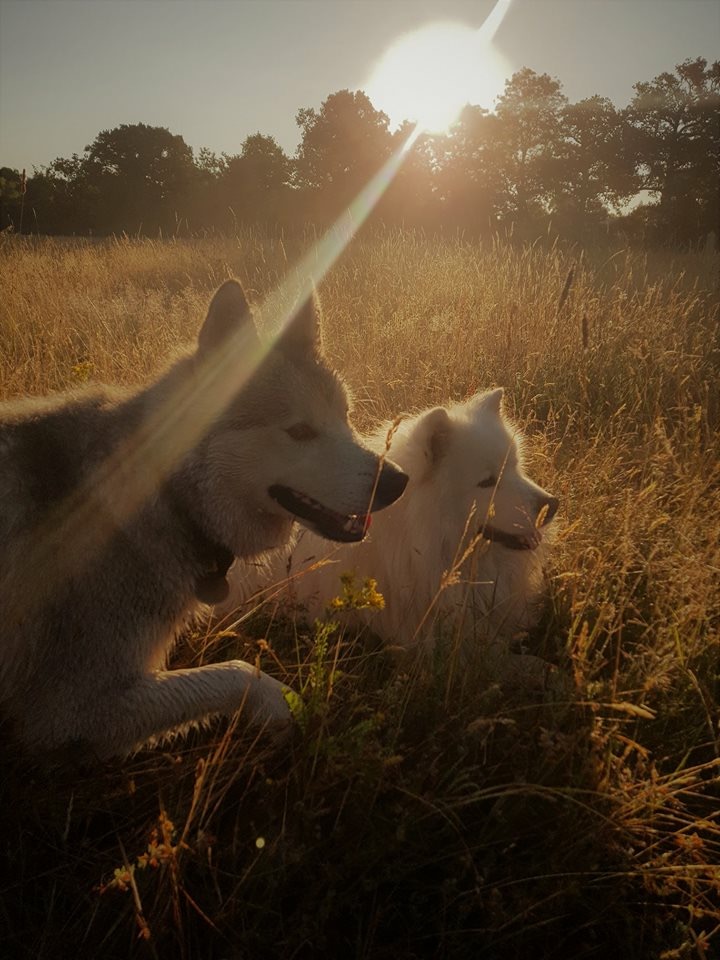 1264 35d821acba22171ae58fcb2a9f5ba66c 1