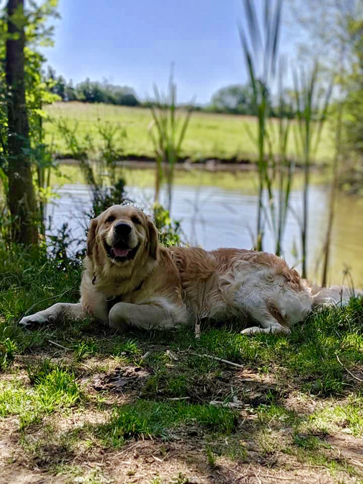 1264 3f4cb9b6ae2ec0b65ef507c3caa32a7c 1