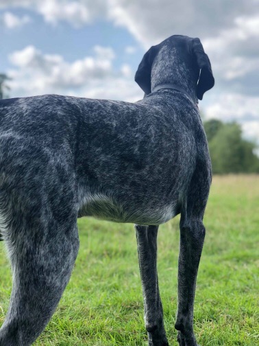 1264 3f521ab006306f524b2b736c0ec9f1a6 1