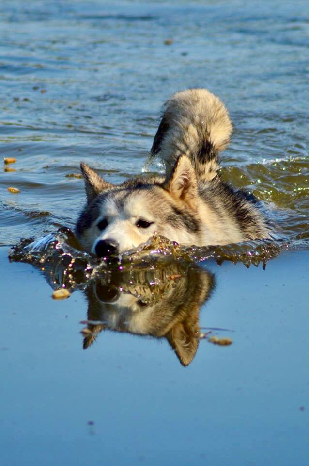 1264 4ad1c62eb71c9875fb9e2eeb9bbd1871 1