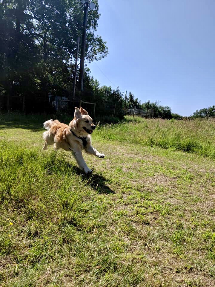 1264 764b03324357e4f3722a4f9444e9505d 1