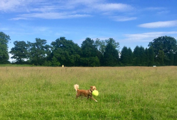 1264 84ab318cd2e24be651d68a6945ea1be2 1