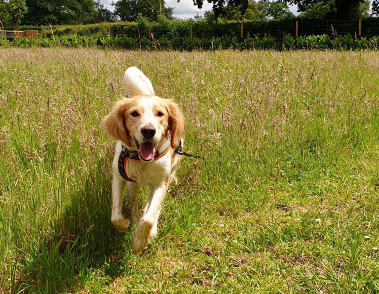 1264 8b071693d1242537b04747933cbf3caf 1 768x595