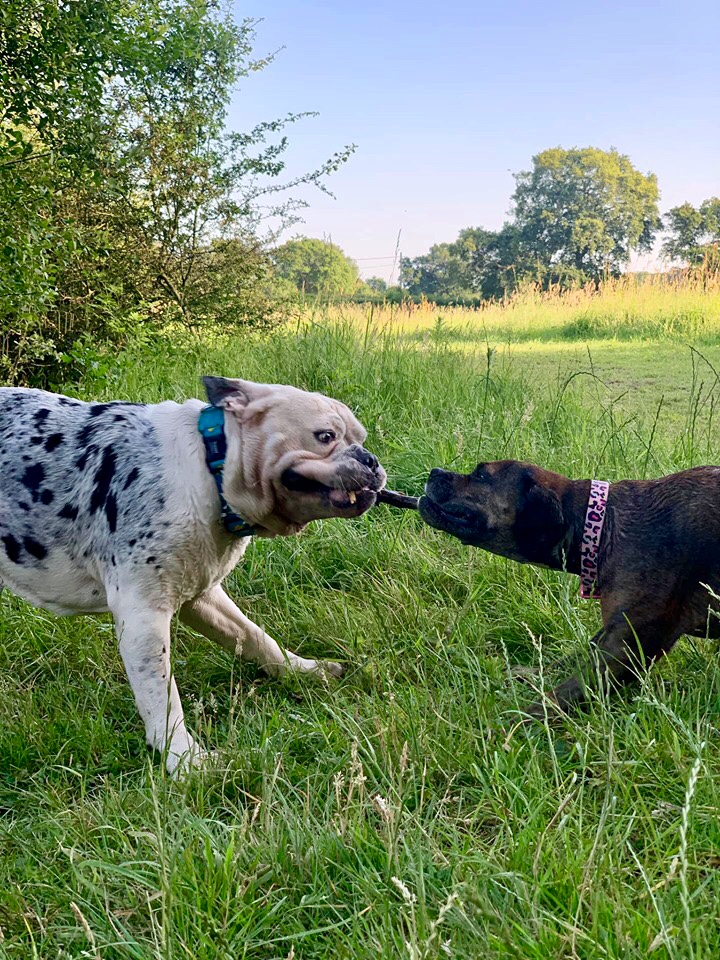 1264 980c7c5f5e3aa3149e4a7f75caa704c7 1