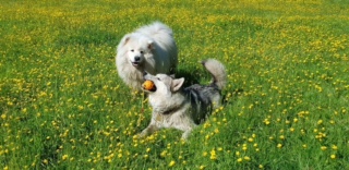 1264 9bb2d841aa1343d711b3284303bc7c4e 1