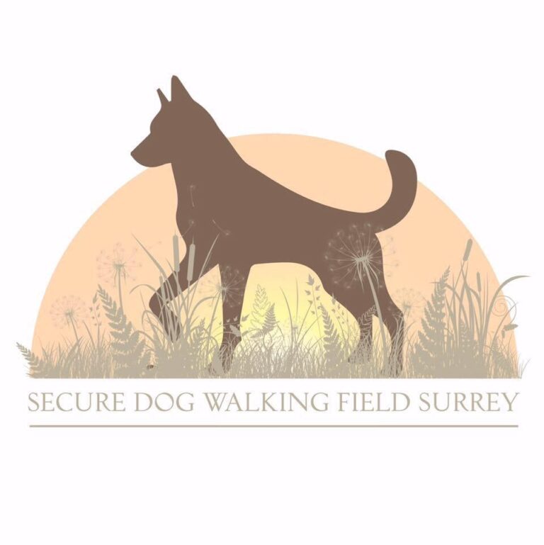 1264 a34293ecaea2965853e473e58015db21 1 768x769