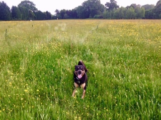 1264 a8da859d80ccef6d7b0e8b61d7c06643 1