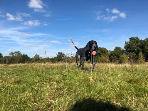 1264 b6cc16385566b9b8d5f4668ff5ac383b 1