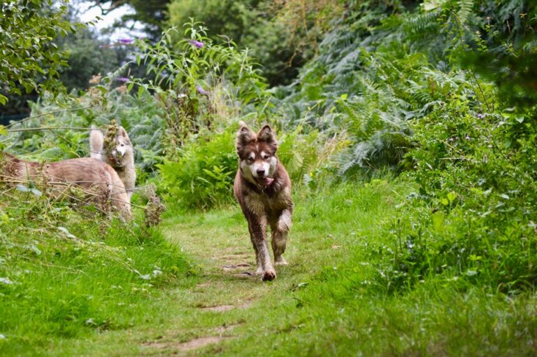 1264 fb4f2691ac481397d21c9d64304ca8d5 1 768x510