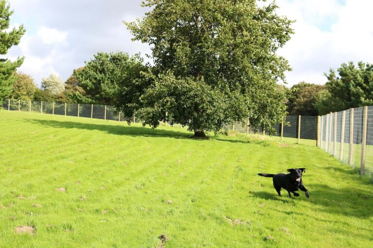 1274 7161f25abccc7722736cf260c315ae10 1 768x512