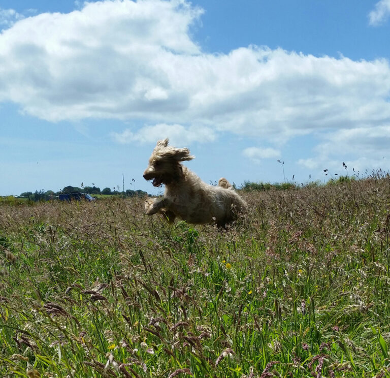 1278 10c0d8bbd42176826f896a76e5276832 1 768x744