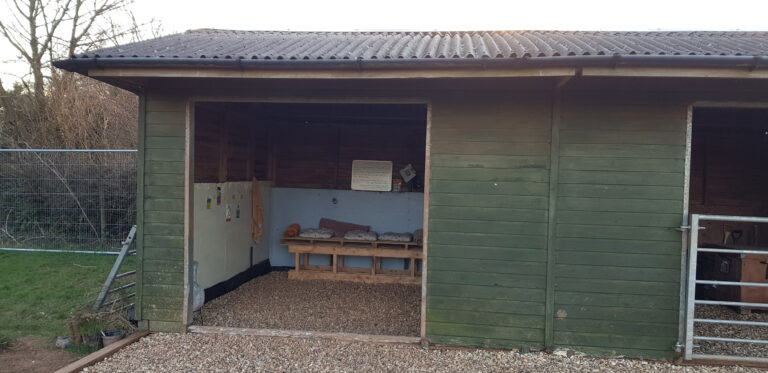 1278 3d150341c8ca5f4ab10b15429544992c 1 768x373