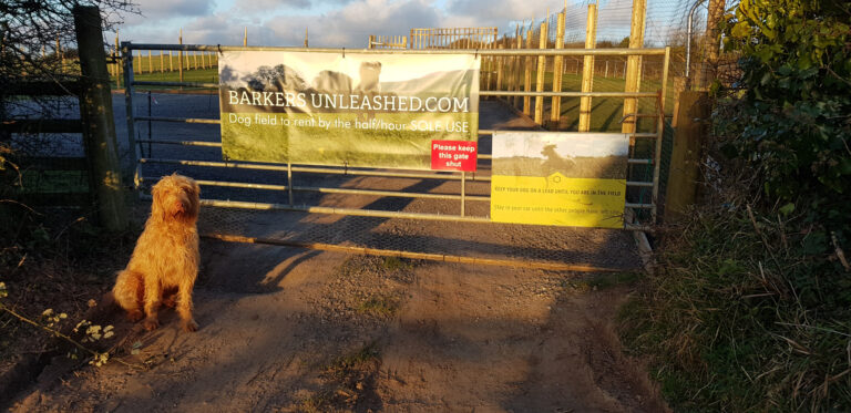 1278 68775561e568373b8e8c8923ee62af0b 1 768x373