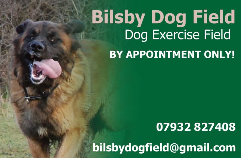 1279 75991bdf41fa97d37d248b1c425f8a5d 1 768x505