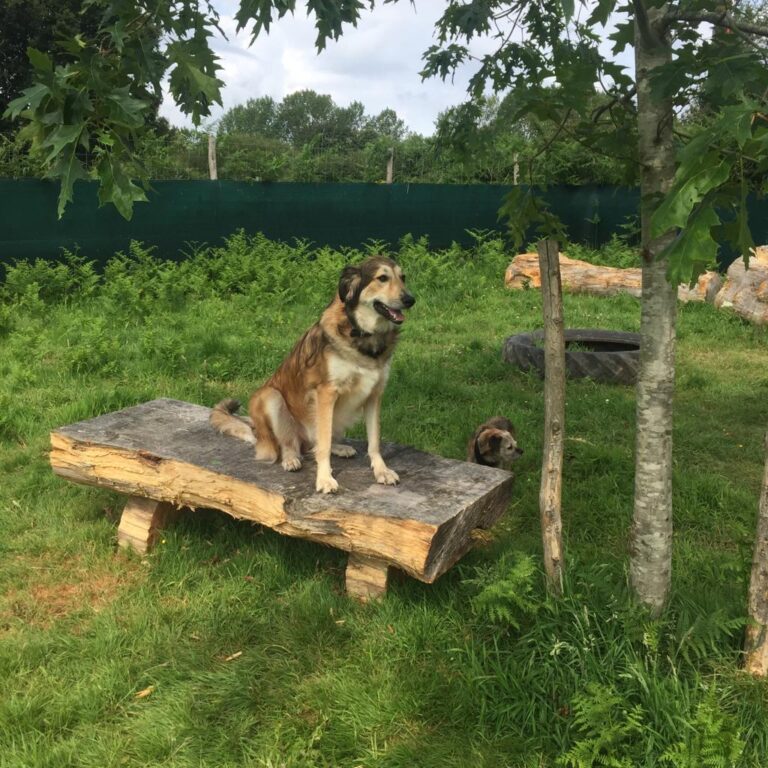 1282 2fb9575666153d4c4605870781978799 1 768x768