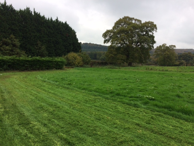 1282 6a39bfbcded386a70ce1923a4bdaa4f6 1