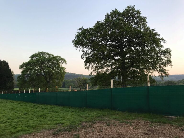 1282 d4cba05cde73f6c2551261d14902de4a 1 768x576