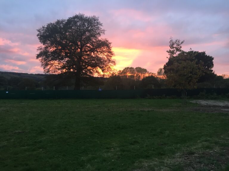 1282 fce82ab888b926569e413e6084ae536d 1 768x576