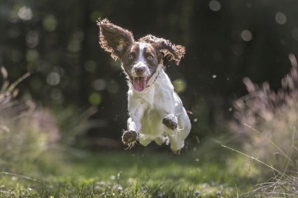 1284 f52f81b84d99b6a5c326918957336b21 1