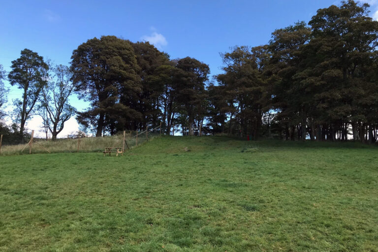 1285 a7fee090fa47488a6a4dee14d0274794 1 768x511