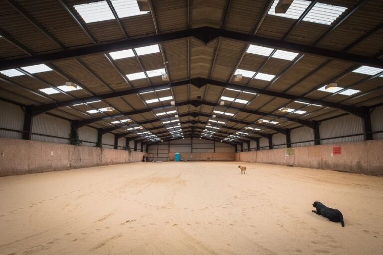 1288 8dfbcb4c69d9a1c3f11857695278d867 1 768x513