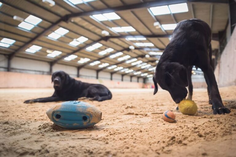 1288 af7b7439870a74ffc93a45c35dde71e4 1 768x512