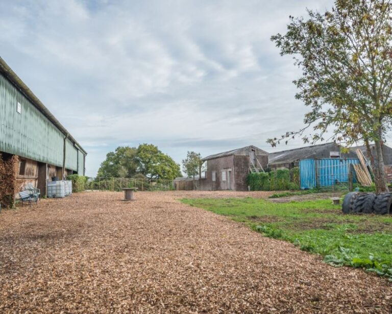 1288 bca6f60fffbdb64f1e50b7fa204ad028 1 768x615