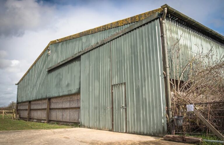 1288 c827f3a22df325ecffacd05293b3159d 1 768x498