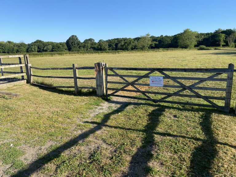 1290 8857f1a9e675c3d6ff1285b3b77e3f0c 1 768x576