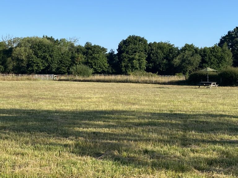 1290 970708baf58c58f7abdd9fa8482fb3ff 1 768x576