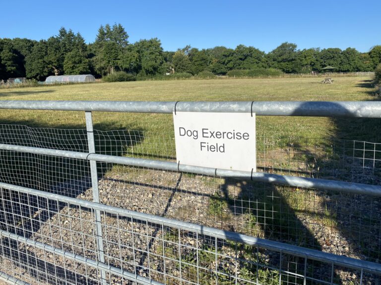 1290 aa98b99ba52002988e453ebbf64ea91c 1 768x576