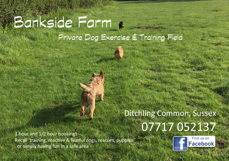 1290 b71e124431ac3896dcc3ed9674d51271 1 768x538