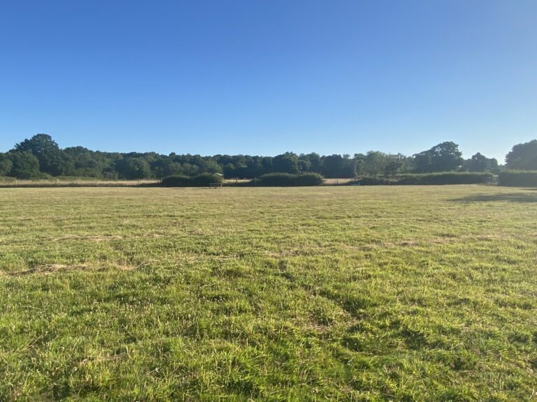 1290 fbd2e4e3303f62063f14c9eaac953378 1 768x576