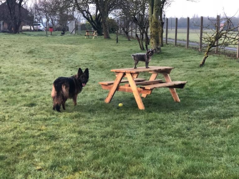 1291 9cd7e8aabdb1e1ed68e175c1e6330cf5 1 768x576