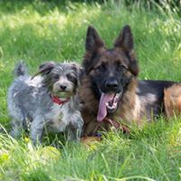 1291 d2da09aec57884786dc6bed6fbcf94b9 1