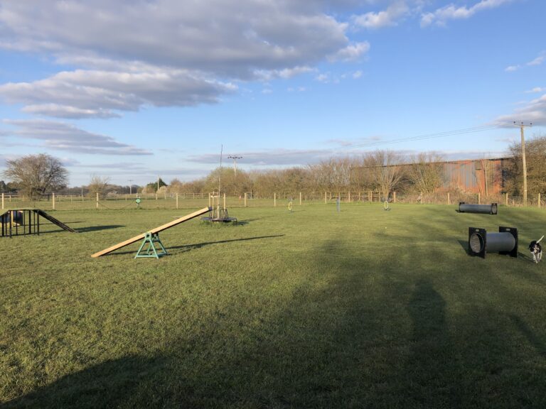 1292 0ce250c4ee6ba13c418a8a613f96606e 1 768x576