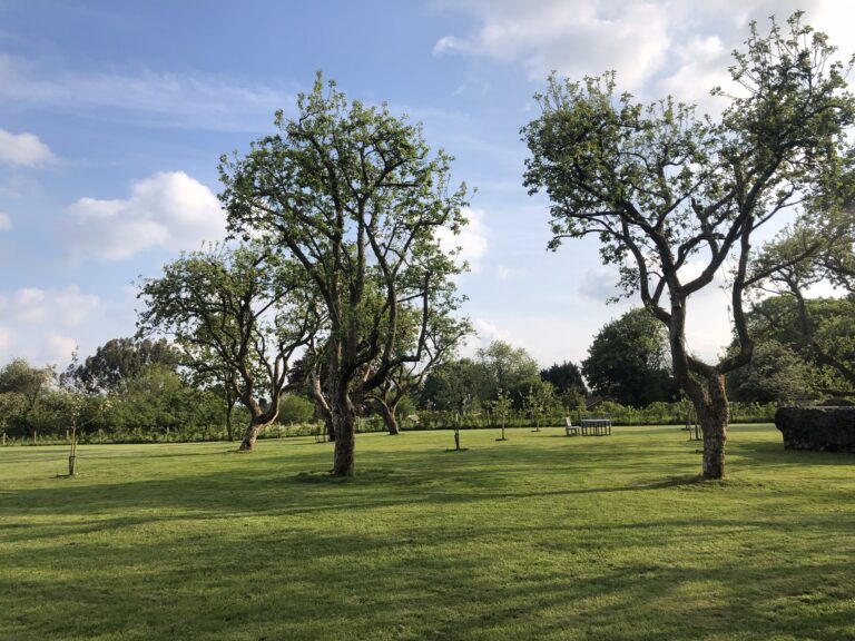 1292 20d77e208cc31d4dd75cea31abc3eeb1 1 768x576